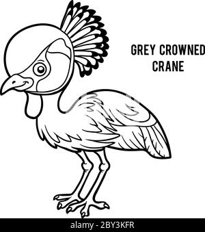 Coloring book for children, Grey crowned crane Stock Vector