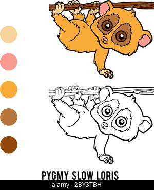 Coloring book for children, Pygmy slow loris Stock Vector