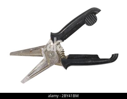 Garden secateurs Stock Photo
