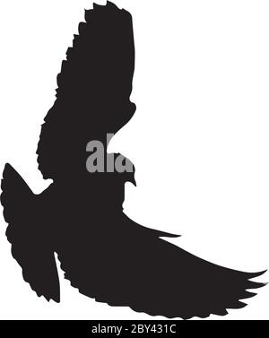 dove in flight silhouettes.   Pigeon  vector icon Stock Vector