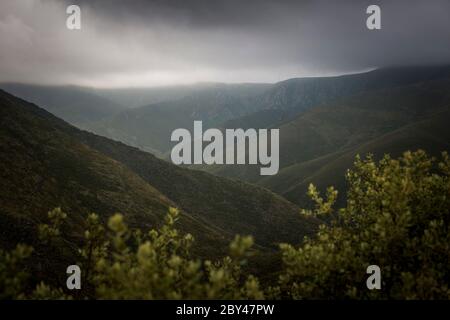 View through the bush vegetation of mountains and valleys landscape in a grey and cloudy weather. Mountain landscape view. Stock Photo