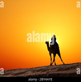 bedouin on camel silhouette against sunrise in africa Stock Photo