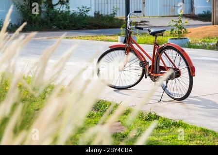 bicycle red classic vintage in beautiful outdoor parkl with copy space for add text Stock Photo