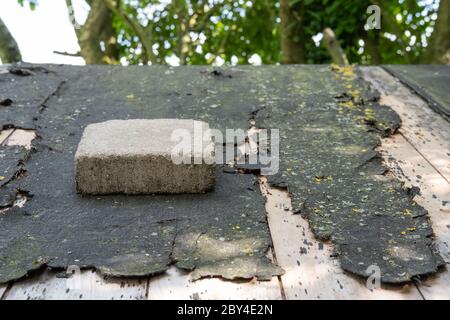 Heavy paving stone seen laid on an old shed roof following high wind which has partially removed the asphalt roof lining. Stock Photo