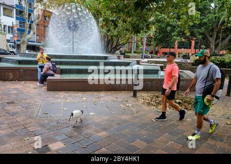 The El-Alamain Fountain in Kings Cross with locals and a so-called bin chicken (Australian white ibis), Sydney, Australia Stock Photo