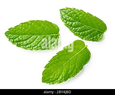 Mint leaves isolated on white background. Top view of mint Stock Photo