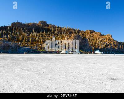 Isla Incahuasi or Isla de los pescadores is an island in the middle of Salar de Uyuni in Bolivia. Stock Photo