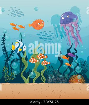 jellyfish with fishes wild marine animals in ocean, sea world dwellers, cute underwater creatures,habitat marine concept Stock Vector