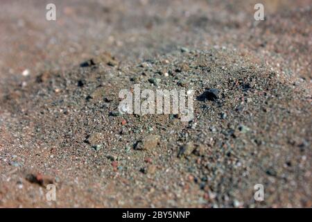 Sand macro photo close-up. Natural texture of wet sand. Close-up photo. Background. Stock Photo