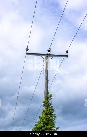 Wooden telegraph pole / pylon England , UK Stock Photo - Alamy