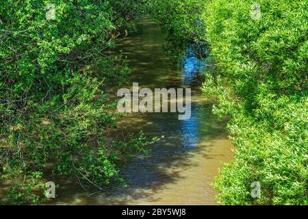Riverbed of a small river flowing through thickets of trees, in the water of which the blue sky is reflected. Stock Photo