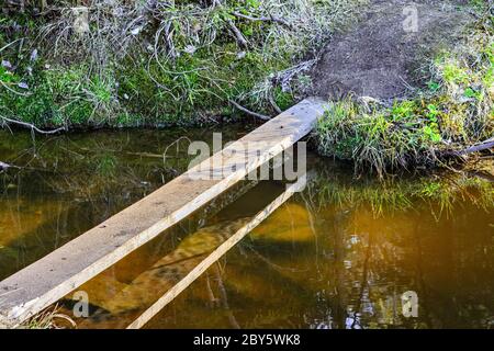 Using the Board as a bridge over a forest stream. Stock Photo