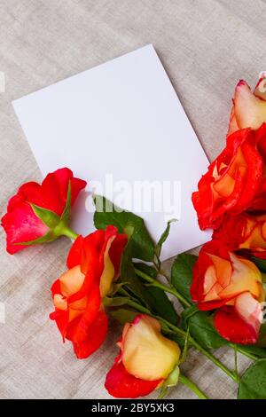 orange roses and blank card Stock Photo