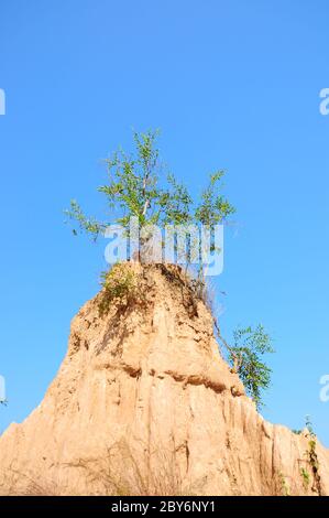 Soil columns within the national park of Thailand Stock Photo