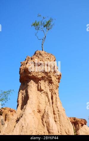 Soil columns within the national park of Thailand Stock Photo