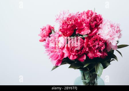 Beautiful peonies flowers bouquet in glass vase on white wall background. Soft focus, front view. Festive flowers concept. Stock Photo