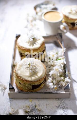 Sweet chocolate tiramisu cupcakes.Muffins with topping.Aromatic Coffee.Healthy food. Stock Photo