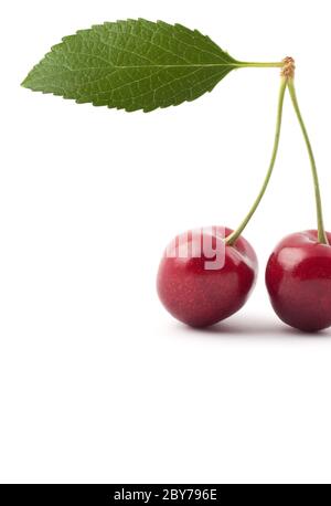 Red cherries Stock Photo