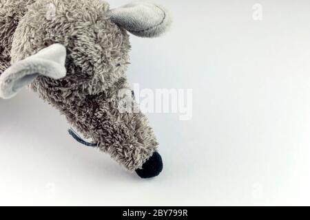 Plush rat on white. Christmas mouse. Symbol of the new 2020 in the Chinese calendar. New year concept Stock Photo