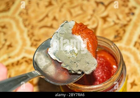 Mold growing on the tomato paste. Close up Stock Photo