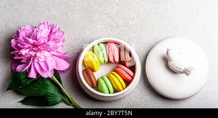 French macaroon cake. Macaroons in box with pink peony flower on grey background flat lay. Holidays, feminine, womans day concept. Top view Stock Photo