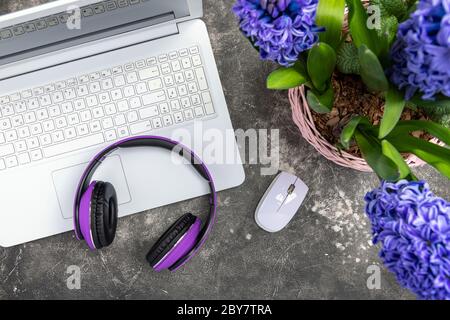Conept online work or education top view. Laptop on table with womans hands for freelance, work, training, educations blogging concept. Cozy female ho Stock Photo