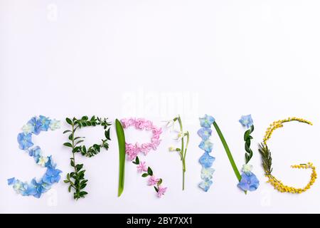 Word spring made of flowers and herbs on white background. Spring flowers composition. Creative floral texture. Springtime, mood, craft concept. Flat Stock Photo