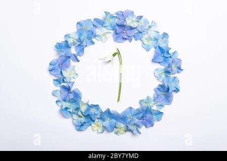 Flowers composition. Frame made of blue flowers hydrangea and snowdrop on white background. Creative floral texture. Flowers pattern, flat lay. Spring Stock Photo