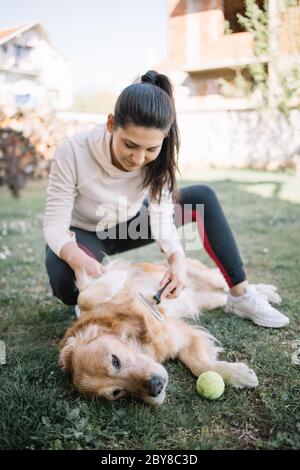 Pretty girl combing a dog's fur outdoors Stock Photo