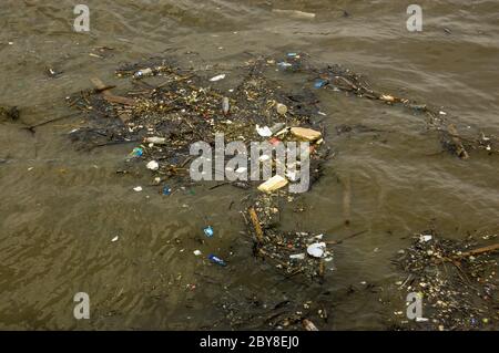 Rubbish floating on the River Thames. Stock Photo