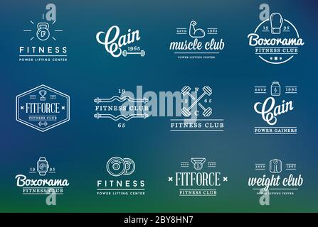 Set of Vector Fitness Aerobics Gym Elements and Fitness Icons Illustration can be used as Logo or Icon in premium quality Flat Icons Style Stock Vector