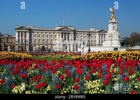 Buckingham Palace and the Queen Victoria Memorial with Spring Tulips, London, England, UK Stock Photo