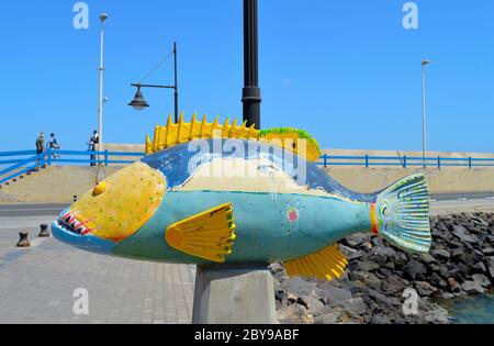 Painted fish in Corralejo harbour Stock Photo