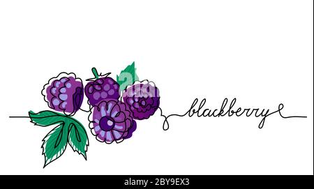 Blackberry, bramble, dewberry, vector color illustration, background. Black berry sketch for label design. One continuous line drawing of bramble with Stock Vector