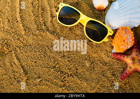 Sunglasses lie on the marker pen. Sea beach with wet sand. Starfish and shells lie on the seashore. Stock Photo
