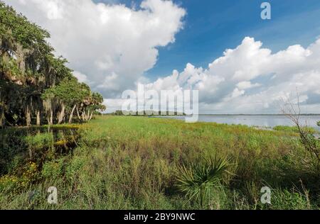 Upper Myakker Lake in Myakka River State Park in Sarasota Florida in the United States Stock Photo