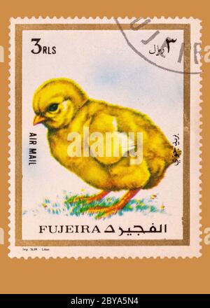 Vintage cancelled postage stamp from Fujeira bearing a picture of an angry looking chick. Circa 1970 from the United Arab Emirates. Stock Photo