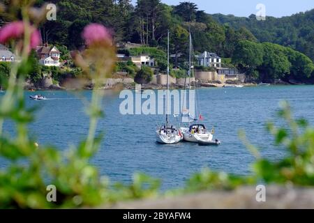 Sailing boats in Salcombe Estuary, looking to East Portlemouth, Devon, England, UK Stock Photo