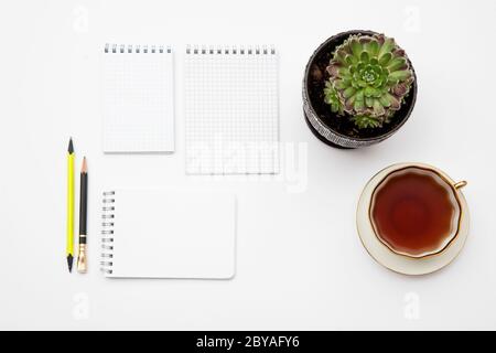 Green succulent in a ceramic pot on a white background. Notebooks, tea, pens and place for text. Stock Photo