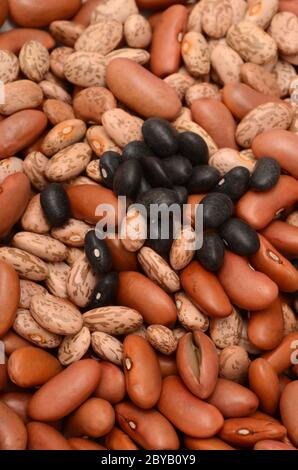 PROTEIN BARN: A closeup of a variety of raw beans. Stock Photo