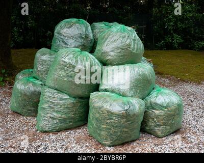 plastic bags filled with organic waste from garden and yard. Garbage bags  with leaves. ecology Stock Photo - Alamy