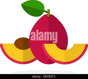 Red plum with a leaf, half plum with a stone and a segment of a plum flat isolated Stock Vector