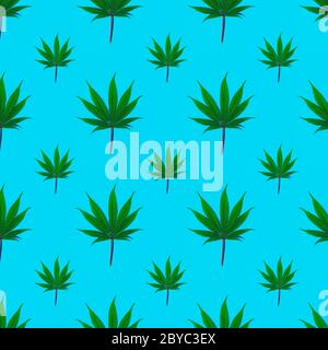 Seamless pattern of cannabis fresh green leaf on a plain background, Stock Photo