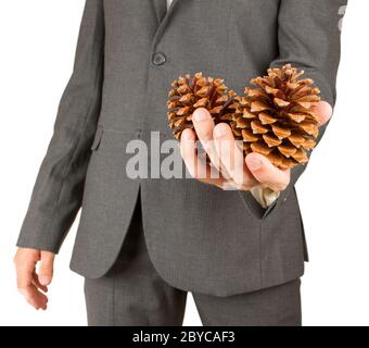 Man in grey suit is holding two pine cones Stock Photo