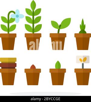 House plants and flowers in pots vector flat isolated Stock Vector