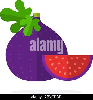 A whole fig and a piece of figs flat isolated Stock Vector