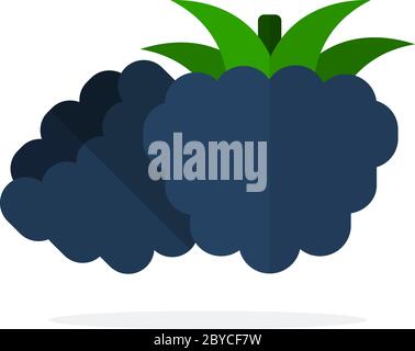 Blackberry berries with leaves vector flat isolated Stock Vector