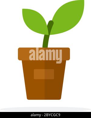 A young plant in a pot vector flat isolated Stock Vector