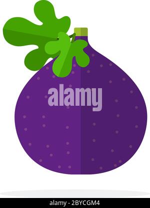 Whole fig fruit with leaves flat isolated Stock Vector