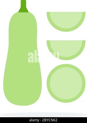 Zucchini upright, round slice of zucchini and two wedges of zucchini vector flat isolated Stock Vector